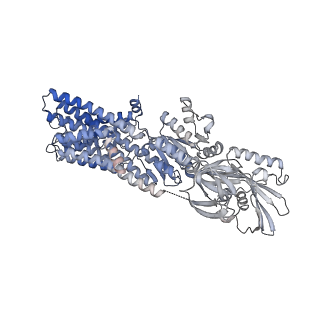 31988_7vh6_C_v1-1
Cryo-EM structure of the hexameric plasma membrane H+-ATPase in the active state (pH 6.0, BeF3-, conformation 1, C1 symmetry)