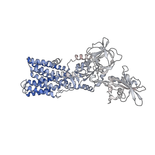 31988_7vh6_D_v1-1
Cryo-EM structure of the hexameric plasma membrane H+-ATPase in the active state (pH 6.0, BeF3-, conformation 1, C1 symmetry)