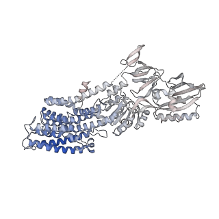 31988_7vh6_E_v1-1
Cryo-EM structure of the hexameric plasma membrane H+-ATPase in the active state (pH 6.0, BeF3-, conformation 1, C1 symmetry)