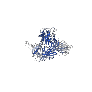 31994_7vhh_C_v1-0
Delta variant of SARS-CoV-2 Spike protein
