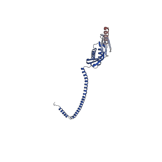 32002_7vhp_N_v1-0
Structural insights into the membrane microdomain organization by SPFH family proteins