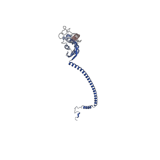 32002_7vhp_R_v1-0
Structural insights into the membrane microdomain organization by SPFH family proteins
