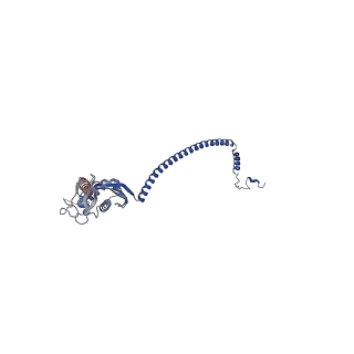 32002_7vhp_p_v1-0
Structural insights into the membrane microdomain organization by SPFH family proteins