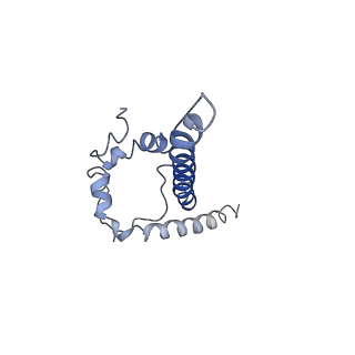 21208_6vi0_F_v1-2
Cryo-EM structure of VRC01.23 in complex with HIV-1 Env BG505 DS.SOSIP