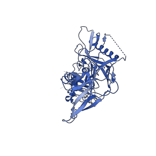 21208_6vi0_G_v1-2
Cryo-EM structure of VRC01.23 in complex with HIV-1 Env BG505 DS.SOSIP
