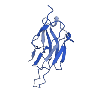 21208_6vi0_H_v1-2
Cryo-EM structure of VRC01.23 in complex with HIV-1 Env BG505 DS.SOSIP