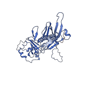 32005_7via_A_v1-2
Focused refinement of asymmetric unit of bacteriophage lambda procapsid at 3.88 Angstrom