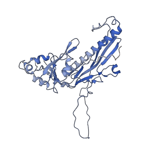 32005_7via_B_v1-2
Focused refinement of asymmetric unit of bacteriophage lambda procapsid at 3.88 Angstrom