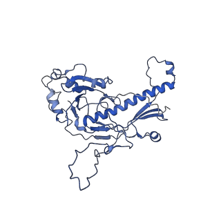 32005_7via_C_v1-2
Focused refinement of asymmetric unit of bacteriophage lambda procapsid at 3.88 Angstrom