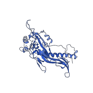 32005_7via_D_v1-2
Focused refinement of asymmetric unit of bacteriophage lambda procapsid at 3.88 Angstrom