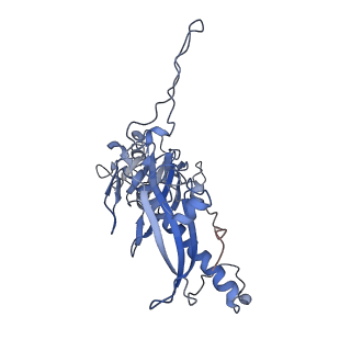 32005_7via_E_v1-2
Focused refinement of asymmetric unit of bacteriophage lambda procapsid at 3.88 Angstrom