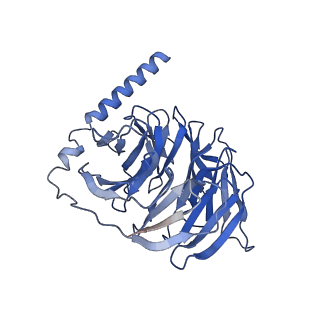 32006_7vie_A_v1-1
Cryo-EM structure of Gi coupled Sphingosine 1-phosphate receptor bound with S1P