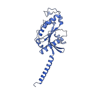 32006_7vie_D_v1-1
Cryo-EM structure of Gi coupled Sphingosine 1-phosphate receptor bound with S1P