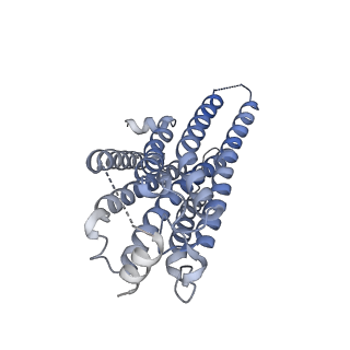 32006_7vie_F_v1-1
Cryo-EM structure of Gi coupled Sphingosine 1-phosphate receptor bound with S1P