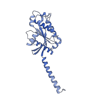 32007_7vif_D_v1-1
Cryo-EM structure of Gi coupled Sphingosine 1-phosphate receptor bound with (S)-FTY720-P