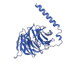 32008_7vig_A_v1-1
Cryo-EM structure of Gi coupled Sphingosine 1-phosphate receptor bound with CBP-307