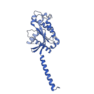 32008_7vig_D_v1-1
Cryo-EM structure of Gi coupled Sphingosine 1-phosphate receptor bound with CBP-307