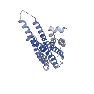 32008_7vig_F_v1-1
Cryo-EM structure of Gi coupled Sphingosine 1-phosphate receptor bound with CBP-307
