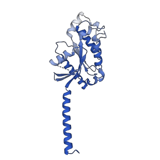 32009_7vih_D_v1-1
Cryo-EM structure of Gi coupled Sphingosine 1-phosphate receptor bound with CBP-307