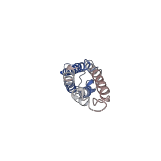 21212_6vja_D_v1-2
Structure of CD20 in complex with rituximab Fab