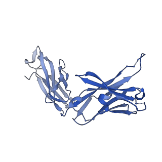 21212_6vja_H_v1-2
Structure of CD20 in complex with rituximab Fab