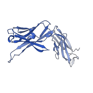21212_6vja_I_v1-2
Structure of CD20 in complex with rituximab Fab