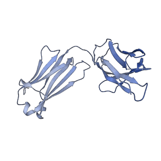 21212_6vja_L_v1-2
Structure of CD20 in complex with rituximab Fab
