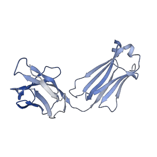 21212_6vja_M_v1-2
Structure of CD20 in complex with rituximab Fab