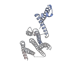 21220_6vjy_B_v1-2
Cryo-EM structure of Hrd1/Hrd3 monomer