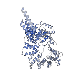21221_6vjz_A_v1-1
CryoEM structure of Hrd1-Usa1/Der1/Hrd3 complex of the expected topology