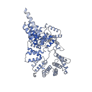 21221_6vjz_A_v1-2
CryoEM structure of Hrd1-Usa1/Der1/Hrd3 complex of the expected topology