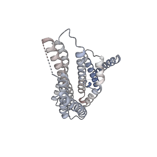 21221_6vjz_B_v1-1
CryoEM structure of Hrd1-Usa1/Der1/Hrd3 complex of the expected topology