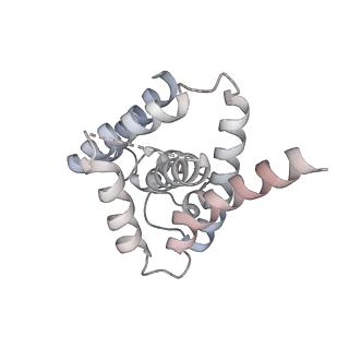 21221_6vjz_C_v1-2
CryoEM structure of Hrd1-Usa1/Der1/Hrd3 complex of the expected topology