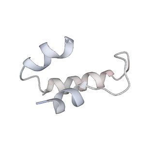 21221_6vjz_D_v1-2
CryoEM structure of Hrd1-Usa1/Der1/Hrd3 complex of the expected topology