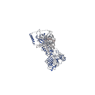 43279_8vjb_A_v1-0
Cryo-EM structure of short form insulin receptor (IR-A) with four IGF2 bound, symmetric conformation.