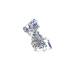 43279_8vjb_B_v1-0
Cryo-EM structure of short form insulin receptor (IR-A) with four IGF2 bound, symmetric conformation.