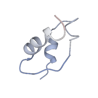 43279_8vjb_C_v1-0
Cryo-EM structure of short form insulin receptor (IR-A) with four IGF2 bound, symmetric conformation.