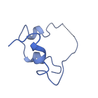 43279_8vjb_D_v1-0
Cryo-EM structure of short form insulin receptor (IR-A) with four IGF2 bound, symmetric conformation.