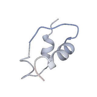 43279_8vjb_E_v1-0
Cryo-EM structure of short form insulin receptor (IR-A) with four IGF2 bound, symmetric conformation.