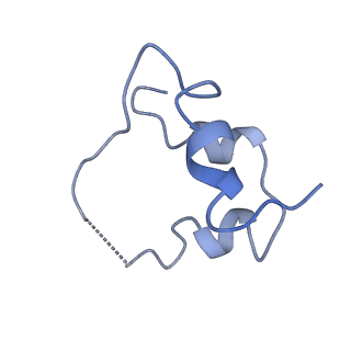 43279_8vjb_F_v1-0
Cryo-EM structure of short form insulin receptor (IR-A) with four IGF2 bound, symmetric conformation.