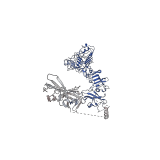 43280_8vjc_B_v1-0
Cryo-EM structure of short form insulin receptor (IR-A) with three IGF2 bound, asymmetric conformation.