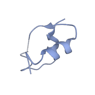 43280_8vjc_C_v1-0
Cryo-EM structure of short form insulin receptor (IR-A) with three IGF2 bound, asymmetric conformation.