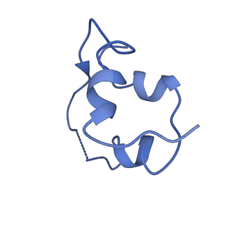 43280_8vjc_D_v1-0
Cryo-EM structure of short form insulin receptor (IR-A) with three IGF2 bound, asymmetric conformation.