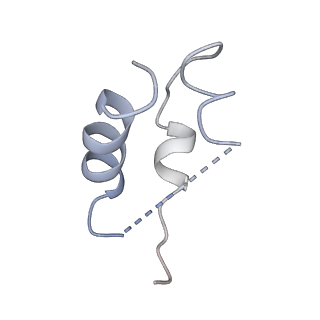 43280_8vjc_E_v1-0
Cryo-EM structure of short form insulin receptor (IR-A) with three IGF2 bound, asymmetric conformation.