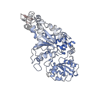 8697_5vjh_A_v1-0
Closed State CryoEM Reconstruction of Hsp104:ATPyS and FITC casein