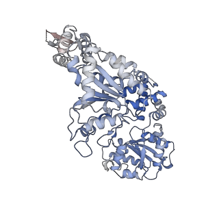 8697_5vjh_A_v2-1
Closed State CryoEM Reconstruction of Hsp104:ATPyS and FITC casein