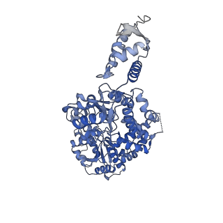 8697_5vjh_B_v2-1
Closed State CryoEM Reconstruction of Hsp104:ATPyS and FITC casein