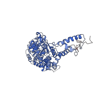 8697_5vjh_C_v1-0
Closed State CryoEM Reconstruction of Hsp104:ATPyS and FITC casein