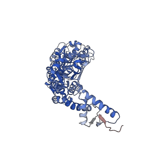 8697_5vjh_D_v1-0
Closed State CryoEM Reconstruction of Hsp104:ATPyS and FITC casein