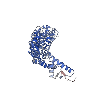 8697_5vjh_D_v2-1
Closed State CryoEM Reconstruction of Hsp104:ATPyS and FITC casein